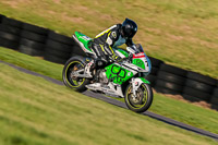 PJ-Motorsport;anglesey-no-limits-trackday;anglesey-photographs;anglesey-trackday-photographs;enduro-digital-images;event-digital-images;eventdigitalimages;no-limits-trackdays;peter-wileman-photography;racing-digital-images;trac-mon;trackday-digital-images;trackday-photos;ty-croes