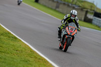 PJ-Motorsport-Photography-2018;anglesey-no-limits-trackday;anglesey-photographs;anglesey-trackday-photographs;enduro-digital-images;event-digital-images;eventdigitalimages;no-limits-trackdays;peter-wileman-photography;racing-digital-images;trac-mon;trackday-digital-images;trackday-photos;ty-croes