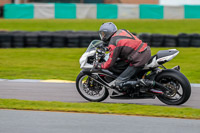PJ-Motorsport-Photography-2018;anglesey-no-limits-trackday;anglesey-photographs;anglesey-trackday-photographs;enduro-digital-images;event-digital-images;eventdigitalimages;no-limits-trackdays;peter-wileman-photography;racing-digital-images;trac-mon;trackday-digital-images;trackday-photos;ty-croes