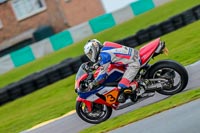 PJ-Motorsport-Photography-2018;anglesey-no-limits-trackday;anglesey-photographs;anglesey-trackday-photographs;enduro-digital-images;event-digital-images;eventdigitalimages;no-limits-trackdays;peter-wileman-photography;racing-digital-images;trac-mon;trackday-digital-images;trackday-photos;ty-croes