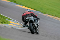 PJ-Motorsport-Photography-2018;anglesey-no-limits-trackday;anglesey-photographs;anglesey-trackday-photographs;enduro-digital-images;event-digital-images;eventdigitalimages;no-limits-trackdays;peter-wileman-photography;racing-digital-images;trac-mon;trackday-digital-images;trackday-photos;ty-croes