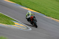 PJ-Motorsport-Photography-2018;anglesey-no-limits-trackday;anglesey-photographs;anglesey-trackday-photographs;enduro-digital-images;event-digital-images;eventdigitalimages;no-limits-trackdays;peter-wileman-photography;racing-digital-images;trac-mon;trackday-digital-images;trackday-photos;ty-croes