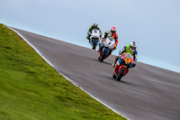 PJ-Motorsport-Photography-2018;anglesey-no-limits-trackday;anglesey-photographs;anglesey-trackday-photographs;enduro-digital-images;event-digital-images;eventdigitalimages;no-limits-trackdays;peter-wileman-photography;racing-digital-images;trac-mon;trackday-digital-images;trackday-photos;ty-croes