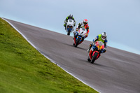 PJ-Motorsport-Photography-2018;anglesey-no-limits-trackday;anglesey-photographs;anglesey-trackday-photographs;enduro-digital-images;event-digital-images;eventdigitalimages;no-limits-trackdays;peter-wileman-photography;racing-digital-images;trac-mon;trackday-digital-images;trackday-photos;ty-croes