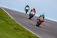 PJ-Motorsport-Photography-2018;anglesey-no-limits-trackday;anglesey-photographs;anglesey-trackday-photographs;enduro-digital-images;event-digital-images;eventdigitalimages;no-limits-trackdays;peter-wileman-photography;racing-digital-images;trac-mon;trackday-digital-images;trackday-photos;ty-croes