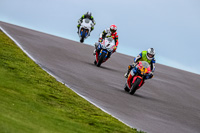 PJ-Motorsport-Photography-2018;anglesey-no-limits-trackday;anglesey-photographs;anglesey-trackday-photographs;enduro-digital-images;event-digital-images;eventdigitalimages;no-limits-trackdays;peter-wileman-photography;racing-digital-images;trac-mon;trackday-digital-images;trackday-photos;ty-croes