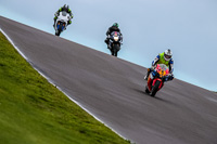 PJ-Motorsport-Photography-2018;anglesey-no-limits-trackday;anglesey-photographs;anglesey-trackday-photographs;enduro-digital-images;event-digital-images;eventdigitalimages;no-limits-trackdays;peter-wileman-photography;racing-digital-images;trac-mon;trackday-digital-images;trackday-photos;ty-croes