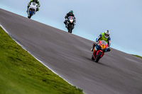 PJ-Motorsport-Photography-2018;anglesey-no-limits-trackday;anglesey-photographs;anglesey-trackday-photographs;enduro-digital-images;event-digital-images;eventdigitalimages;no-limits-trackdays;peter-wileman-photography;racing-digital-images;trac-mon;trackday-digital-images;trackday-photos;ty-croes