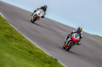 PJ-Motorsport-Photography-2018;anglesey-no-limits-trackday;anglesey-photographs;anglesey-trackday-photographs;enduro-digital-images;event-digital-images;eventdigitalimages;no-limits-trackdays;peter-wileman-photography;racing-digital-images;trac-mon;trackday-digital-images;trackday-photos;ty-croes