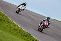 PJ-Motorsport-Photography-2018;anglesey-no-limits-trackday;anglesey-photographs;anglesey-trackday-photographs;enduro-digital-images;event-digital-images;eventdigitalimages;no-limits-trackdays;peter-wileman-photography;racing-digital-images;trac-mon;trackday-digital-images;trackday-photos;ty-croes