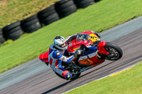 PJ-Motorsport-Photography-2018;anglesey-no-limits-trackday;anglesey-photographs;anglesey-trackday-photographs;enduro-digital-images;event-digital-images;eventdigitalimages;no-limits-trackdays;peter-wileman-photography;racing-digital-images;trac-mon;trackday-digital-images;trackday-photos;ty-croes