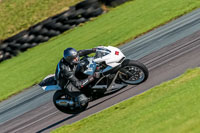 PJ-Motorsport-Photography-2018;anglesey-no-limits-trackday;anglesey-photographs;anglesey-trackday-photographs;enduro-digital-images;event-digital-images;eventdigitalimages;no-limits-trackdays;peter-wileman-photography;racing-digital-images;trac-mon;trackday-digital-images;trackday-photos;ty-croes