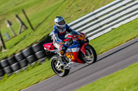 PJ-Motorsport-Photography-2018;anglesey-no-limits-trackday;anglesey-photographs;anglesey-trackday-photographs;enduro-digital-images;event-digital-images;eventdigitalimages;no-limits-trackdays;peter-wileman-photography;racing-digital-images;trac-mon;trackday-digital-images;trackday-photos;ty-croes
