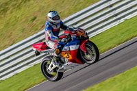 PJ-Motorsport-Photography-2018;anglesey-no-limits-trackday;anglesey-photographs;anglesey-trackday-photographs;enduro-digital-images;event-digital-images;eventdigitalimages;no-limits-trackdays;peter-wileman-photography;racing-digital-images;trac-mon;trackday-digital-images;trackday-photos;ty-croes