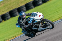 PJ-Motorsport-Photography-2018;anglesey-no-limits-trackday;anglesey-photographs;anglesey-trackday-photographs;enduro-digital-images;event-digital-images;eventdigitalimages;no-limits-trackdays;peter-wileman-photography;racing-digital-images;trac-mon;trackday-digital-images;trackday-photos;ty-croes