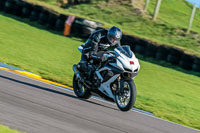 PJ-Motorsport-Photography-2018;anglesey-no-limits-trackday;anglesey-photographs;anglesey-trackday-photographs;enduro-digital-images;event-digital-images;eventdigitalimages;no-limits-trackdays;peter-wileman-photography;racing-digital-images;trac-mon;trackday-digital-images;trackday-photos;ty-croes