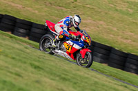 PJ-Motorsport;anglesey-no-limits-trackday;anglesey-photographs;anglesey-trackday-photographs;enduro-digital-images;event-digital-images;eventdigitalimages;no-limits-trackdays;peter-wileman-photography;racing-digital-images;trac-mon;trackday-digital-images;trackday-photos;ty-croes