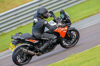 PJ-Motorsport-Photography-2018;anglesey-no-limits-trackday;anglesey-photographs;anglesey-trackday-photographs;enduro-digital-images;event-digital-images;eventdigitalimages;no-limits-trackdays;peter-wileman-photography;racing-digital-images;trac-mon;trackday-digital-images;trackday-photos;ty-croes