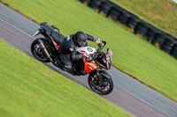 PJ-Motorsport-Photography-2018;anglesey-no-limits-trackday;anglesey-photographs;anglesey-trackday-photographs;enduro-digital-images;event-digital-images;eventdigitalimages;no-limits-trackdays;peter-wileman-photography;racing-digital-images;trac-mon;trackday-digital-images;trackday-photos;ty-croes