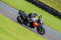 PJ-Motorsport-Photography-2018;anglesey-no-limits-trackday;anglesey-photographs;anglesey-trackday-photographs;enduro-digital-images;event-digital-images;eventdigitalimages;no-limits-trackdays;peter-wileman-photography;racing-digital-images;trac-mon;trackday-digital-images;trackday-photos;ty-croes