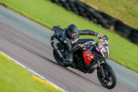 PJ-Motorsport-Photography-2018;anglesey-no-limits-trackday;anglesey-photographs;anglesey-trackday-photographs;enduro-digital-images;event-digital-images;eventdigitalimages;no-limits-trackdays;peter-wileman-photography;racing-digital-images;trac-mon;trackday-digital-images;trackday-photos;ty-croes