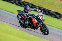 PJ-Motorsport-Photography-2018;anglesey-no-limits-trackday;anglesey-photographs;anglesey-trackday-photographs;enduro-digital-images;event-digital-images;eventdigitalimages;no-limits-trackdays;peter-wileman-photography;racing-digital-images;trac-mon;trackday-digital-images;trackday-photos;ty-croes