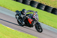 PJ-Motorsport-Photography-2018;anglesey-no-limits-trackday;anglesey-photographs;anglesey-trackday-photographs;enduro-digital-images;event-digital-images;eventdigitalimages;no-limits-trackdays;peter-wileman-photography;racing-digital-images;trac-mon;trackday-digital-images;trackday-photos;ty-croes