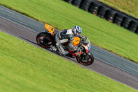 PJ-Motorsport-Photography-2018;anglesey-no-limits-trackday;anglesey-photographs;anglesey-trackday-photographs;enduro-digital-images;event-digital-images;eventdigitalimages;no-limits-trackdays;peter-wileman-photography;racing-digital-images;trac-mon;trackday-digital-images;trackday-photos;ty-croes