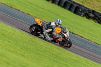 PJ-Motorsport-Photography-2018;anglesey-no-limits-trackday;anglesey-photographs;anglesey-trackday-photographs;enduro-digital-images;event-digital-images;eventdigitalimages;no-limits-trackdays;peter-wileman-photography;racing-digital-images;trac-mon;trackday-digital-images;trackday-photos;ty-croes