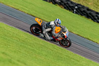 PJ-Motorsport-Photography-2018;anglesey-no-limits-trackday;anglesey-photographs;anglesey-trackday-photographs;enduro-digital-images;event-digital-images;eventdigitalimages;no-limits-trackdays;peter-wileman-photography;racing-digital-images;trac-mon;trackday-digital-images;trackday-photos;ty-croes