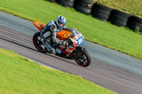 PJ-Motorsport-Photography-2018;anglesey-no-limits-trackday;anglesey-photographs;anglesey-trackday-photographs;enduro-digital-images;event-digital-images;eventdigitalimages;no-limits-trackdays;peter-wileman-photography;racing-digital-images;trac-mon;trackday-digital-images;trackday-photos;ty-croes