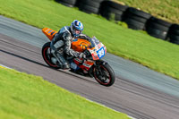 PJ-Motorsport-Photography-2018;anglesey-no-limits-trackday;anglesey-photographs;anglesey-trackday-photographs;enduro-digital-images;event-digital-images;eventdigitalimages;no-limits-trackdays;peter-wileman-photography;racing-digital-images;trac-mon;trackday-digital-images;trackday-photos;ty-croes