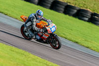 PJ-Motorsport-Photography-2018;anglesey-no-limits-trackday;anglesey-photographs;anglesey-trackday-photographs;enduro-digital-images;event-digital-images;eventdigitalimages;no-limits-trackdays;peter-wileman-photography;racing-digital-images;trac-mon;trackday-digital-images;trackday-photos;ty-croes