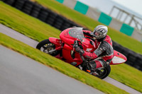 PJ-Motorsport-Photography-2018;anglesey-no-limits-trackday;anglesey-photographs;anglesey-trackday-photographs;enduro-digital-images;event-digital-images;eventdigitalimages;no-limits-trackdays;peter-wileman-photography;racing-digital-images;trac-mon;trackday-digital-images;trackday-photos;ty-croes