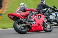 PJ-Motorsport-Photography-2018;anglesey-no-limits-trackday;anglesey-photographs;anglesey-trackday-photographs;enduro-digital-images;event-digital-images;eventdigitalimages;no-limits-trackdays;peter-wileman-photography;racing-digital-images;trac-mon;trackday-digital-images;trackday-photos;ty-croes