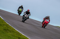 PJ-Motorsport-Photography-2018;anglesey-no-limits-trackday;anglesey-photographs;anglesey-trackday-photographs;enduro-digital-images;event-digital-images;eventdigitalimages;no-limits-trackdays;peter-wileman-photography;racing-digital-images;trac-mon;trackday-digital-images;trackday-photos;ty-croes