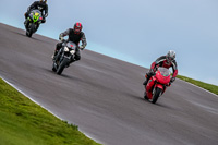 PJ-Motorsport-Photography-2018;anglesey-no-limits-trackday;anglesey-photographs;anglesey-trackday-photographs;enduro-digital-images;event-digital-images;eventdigitalimages;no-limits-trackdays;peter-wileman-photography;racing-digital-images;trac-mon;trackday-digital-images;trackday-photos;ty-croes