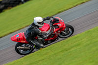 PJ-Motorsport-Photography-2018;anglesey-no-limits-trackday;anglesey-photographs;anglesey-trackday-photographs;enduro-digital-images;event-digital-images;eventdigitalimages;no-limits-trackdays;peter-wileman-photography;racing-digital-images;trac-mon;trackday-digital-images;trackday-photos;ty-croes