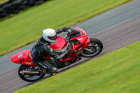 PJ-Motorsport-Photography-2018;anglesey-no-limits-trackday;anglesey-photographs;anglesey-trackday-photographs;enduro-digital-images;event-digital-images;eventdigitalimages;no-limits-trackdays;peter-wileman-photography;racing-digital-images;trac-mon;trackday-digital-images;trackday-photos;ty-croes