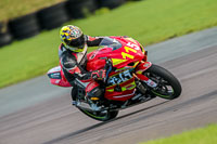 PJ-Motorsport-Photography-2018;anglesey-no-limits-trackday;anglesey-photographs;anglesey-trackday-photographs;enduro-digital-images;event-digital-images;eventdigitalimages;no-limits-trackdays;peter-wileman-photography;racing-digital-images;trac-mon;trackday-digital-images;trackday-photos;ty-croes