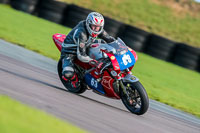 PJ-Motorsport-Photography-2018;anglesey-no-limits-trackday;anglesey-photographs;anglesey-trackday-photographs;enduro-digital-images;event-digital-images;eventdigitalimages;no-limits-trackdays;peter-wileman-photography;racing-digital-images;trac-mon;trackday-digital-images;trackday-photos;ty-croes