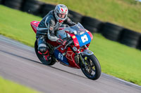 PJ-Motorsport-Photography-2018;anglesey-no-limits-trackday;anglesey-photographs;anglesey-trackday-photographs;enduro-digital-images;event-digital-images;eventdigitalimages;no-limits-trackdays;peter-wileman-photography;racing-digital-images;trac-mon;trackday-digital-images;trackday-photos;ty-croes