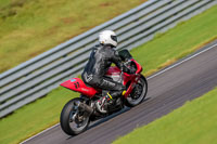 PJ-Motorsport-Photography-2018;anglesey-no-limits-trackday;anglesey-photographs;anglesey-trackday-photographs;enduro-digital-images;event-digital-images;eventdigitalimages;no-limits-trackdays;peter-wileman-photography;racing-digital-images;trac-mon;trackday-digital-images;trackday-photos;ty-croes