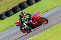 PJ-Motorsport-Photography-2018;anglesey-no-limits-trackday;anglesey-photographs;anglesey-trackday-photographs;enduro-digital-images;event-digital-images;eventdigitalimages;no-limits-trackdays;peter-wileman-photography;racing-digital-images;trac-mon;trackday-digital-images;trackday-photos;ty-croes