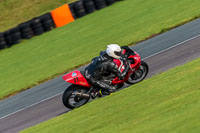 PJ-Motorsport-Photography-2018;anglesey-no-limits-trackday;anglesey-photographs;anglesey-trackday-photographs;enduro-digital-images;event-digital-images;eventdigitalimages;no-limits-trackdays;peter-wileman-photography;racing-digital-images;trac-mon;trackday-digital-images;trackday-photos;ty-croes