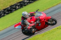 PJ-Motorsport-Photography-2018;anglesey-no-limits-trackday;anglesey-photographs;anglesey-trackday-photographs;enduro-digital-images;event-digital-images;eventdigitalimages;no-limits-trackdays;peter-wileman-photography;racing-digital-images;trac-mon;trackday-digital-images;trackday-photos;ty-croes
