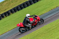 PJ-Motorsport-Photography-2018;anglesey-no-limits-trackday;anglesey-photographs;anglesey-trackday-photographs;enduro-digital-images;event-digital-images;eventdigitalimages;no-limits-trackdays;peter-wileman-photography;racing-digital-images;trac-mon;trackday-digital-images;trackday-photos;ty-croes