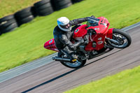 PJ-Motorsport-Photography-2018;anglesey-no-limits-trackday;anglesey-photographs;anglesey-trackday-photographs;enduro-digital-images;event-digital-images;eventdigitalimages;no-limits-trackdays;peter-wileman-photography;racing-digital-images;trac-mon;trackday-digital-images;trackday-photos;ty-croes