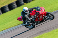 PJ-Motorsport-Photography-2018;anglesey-no-limits-trackday;anglesey-photographs;anglesey-trackday-photographs;enduro-digital-images;event-digital-images;eventdigitalimages;no-limits-trackdays;peter-wileman-photography;racing-digital-images;trac-mon;trackday-digital-images;trackday-photos;ty-croes
