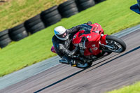 PJ-Motorsport-Photography-2018;anglesey-no-limits-trackday;anglesey-photographs;anglesey-trackday-photographs;enduro-digital-images;event-digital-images;eventdigitalimages;no-limits-trackdays;peter-wileman-photography;racing-digital-images;trac-mon;trackday-digital-images;trackday-photos;ty-croes